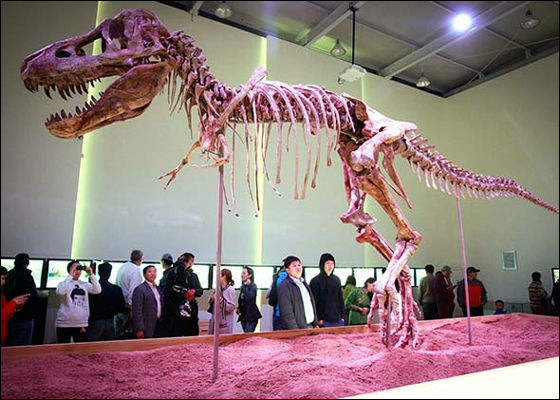 かつての恐竜化石密猟の天国 モンゴルで貴重な化石を守った取り組みとは Gigazine