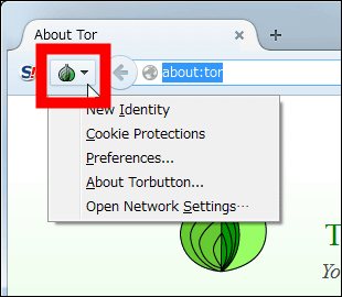 Tor flash browser tor browser no flash player hyrda вход
