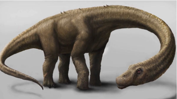 ティラノサウルスの10倍重い史上最大の陸上生物 ドレッドノータス とは Gigazine