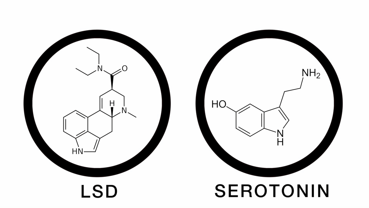 Appleのジョブズも使っていた「LSDの安全性」が3分でわかる「LSD in 3 