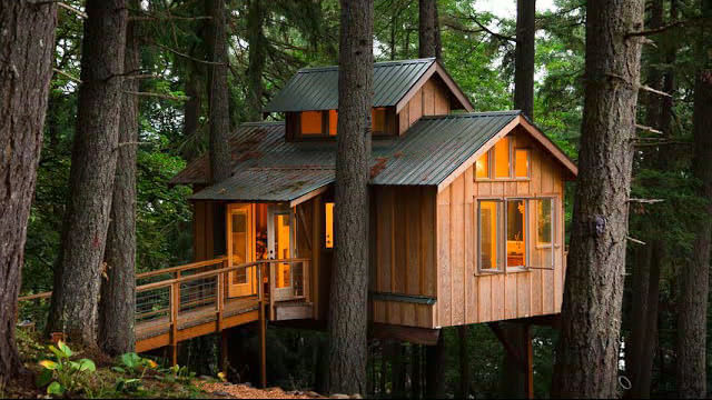 実際にツリーハウスに住んでいる人々のドキュメンタリー Would You Live In A Treehouse Gigazine