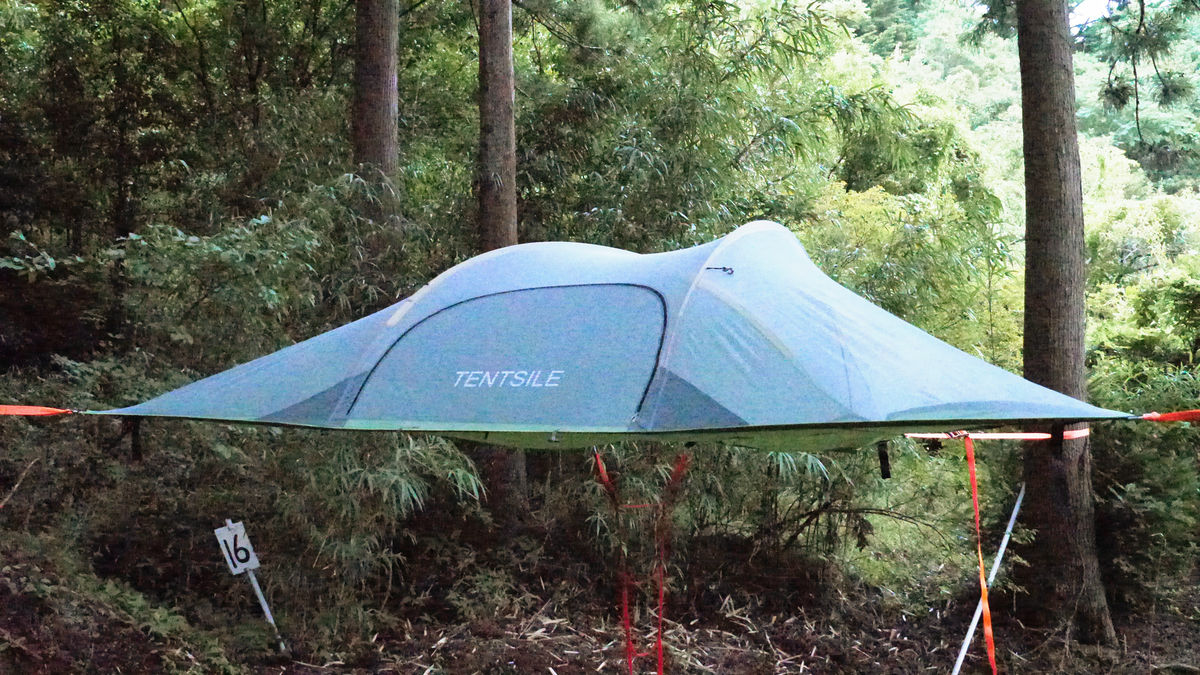 ハンモックのゆらゆら感とテントの居住性を両立した空中に張るテント「テントサイル」でキャンプしてみた - GIGAZINE