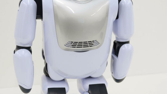 ネットから情報をゲットし自己学習・自己進化して話す＆歩くロボット「Palmi」を実際に育てて覚醒させてみた - GIGAZINE