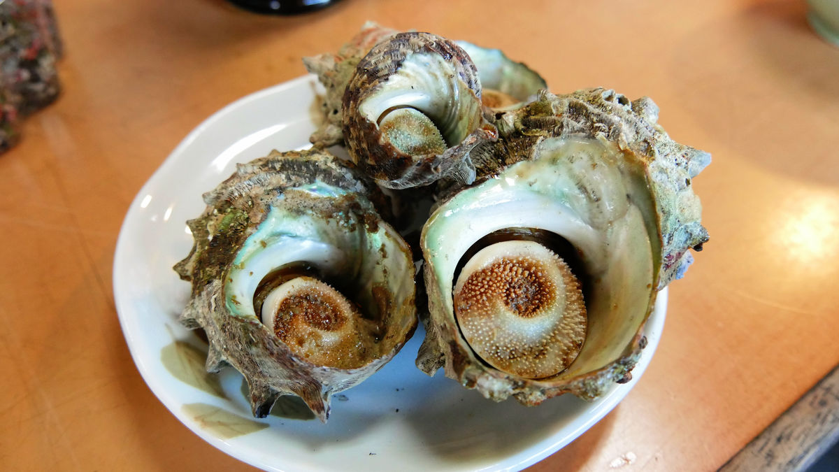 スプラトゥーンのスーパーサザエ ダウニーがお出迎え 波戸岬名物 サザエの壺焼き を食べに行ってきました Gigazine