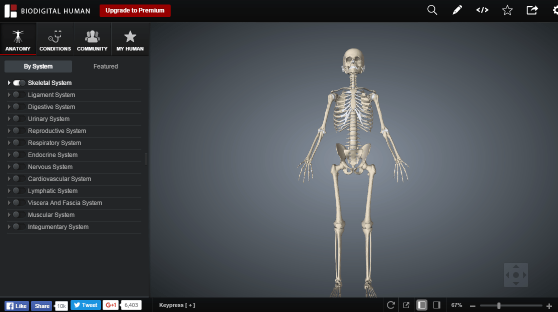 無料で人体の構造を立体的に隅々まで確認できる3d解体新書 Human 3 0 レビュー Gigazine