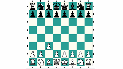 Really Bad Chess where chess pieces are randomly placed every time -  GIGAZINE