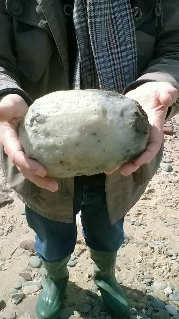 海辺で拾った「巨大な石」に実は約800万円の価値があった - GIGAZINE