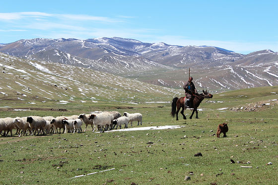 モンゴルで リアルノマドライフ を送る遊牧民のゲルに宿泊してきた Gigazine