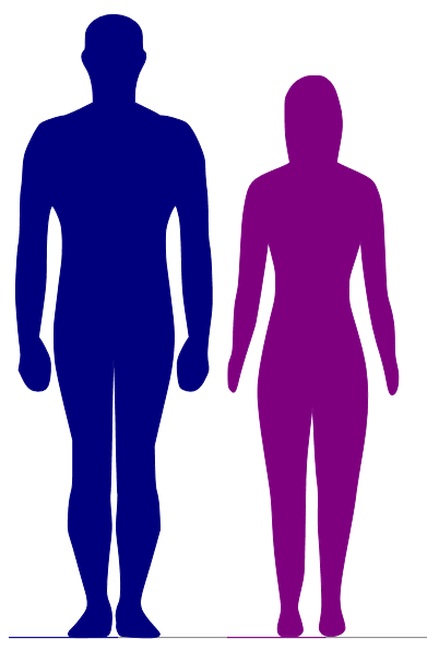 身長と性別を入力すると複数の人の体型の差を並べて表示してくれる