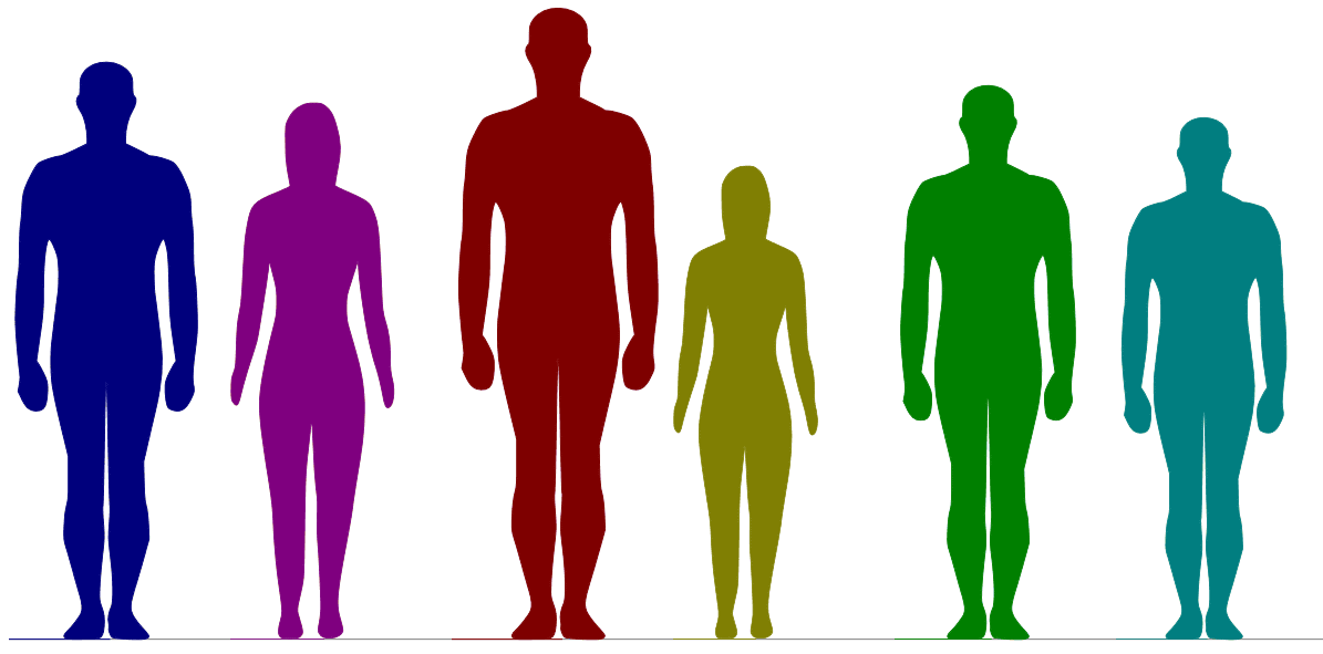 身長と性別を入力すると複数の人の体型の差を並べて表示してくれる Comparing Heights Gigazine