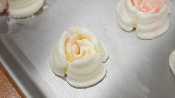 一絞りでクリームが立体の花になるという 3d口金 を使えばお菓子作り初心者でもお花畑が作れるのか実験してみました Gigazine