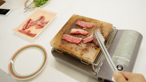 厚さ2cmの塩の塊 岩塩プレート の上でステーキを焼くとお肉はどうなってしまうのか 実験してみました Gigazine