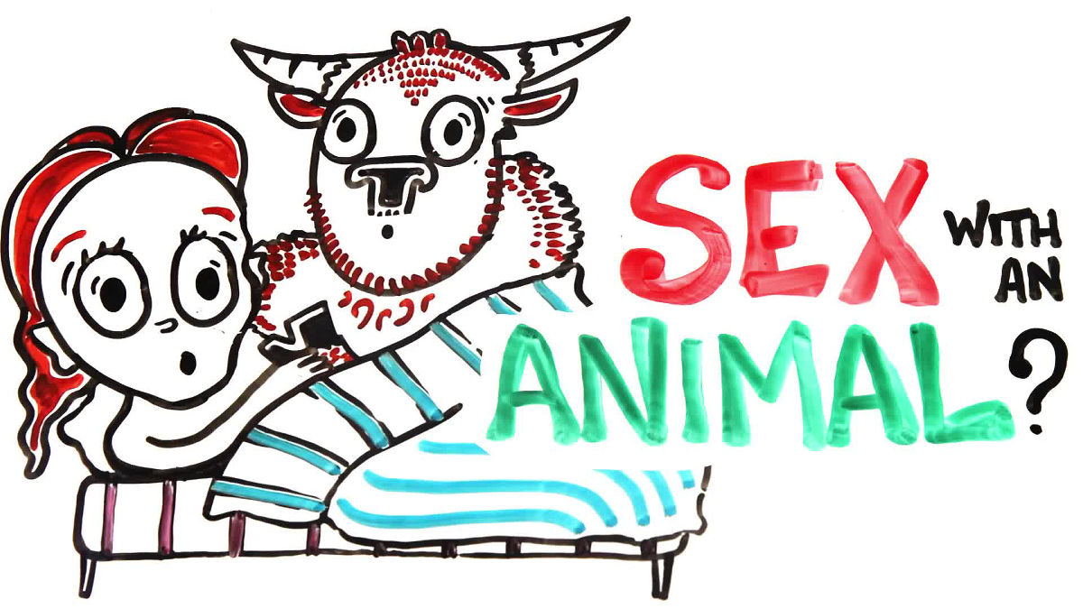 Humans having sex animals