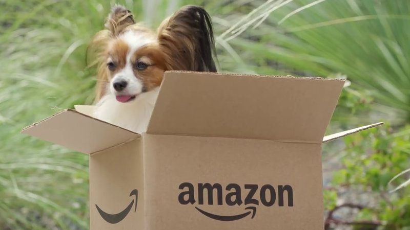 Amazon Comがサーバーダウンするとさまざまな犬の写真が表示される Gigazine