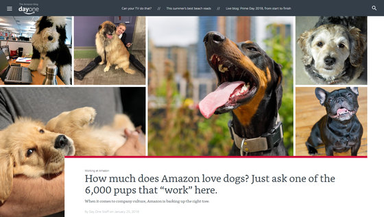 Amazon Comがサーバーダウンするとさまざまな犬の写真が表示される Gigazine