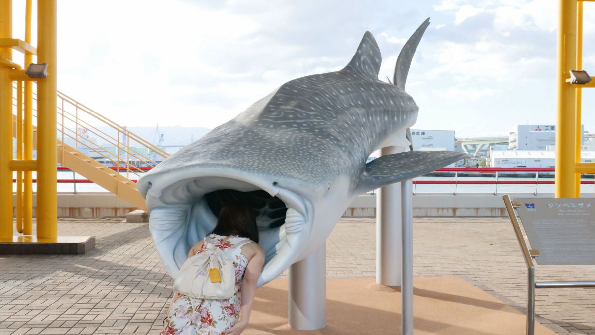 ジンベエザメの見た目をした巨大メロンパン ジンベエパン を海遊館で食べてきた Gigazine