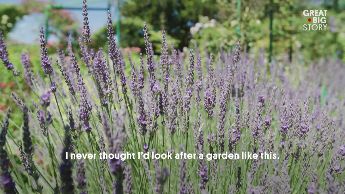 本物の モネの庭 を40年以上も保ち続けている1人の庭師が存在する Gigazine