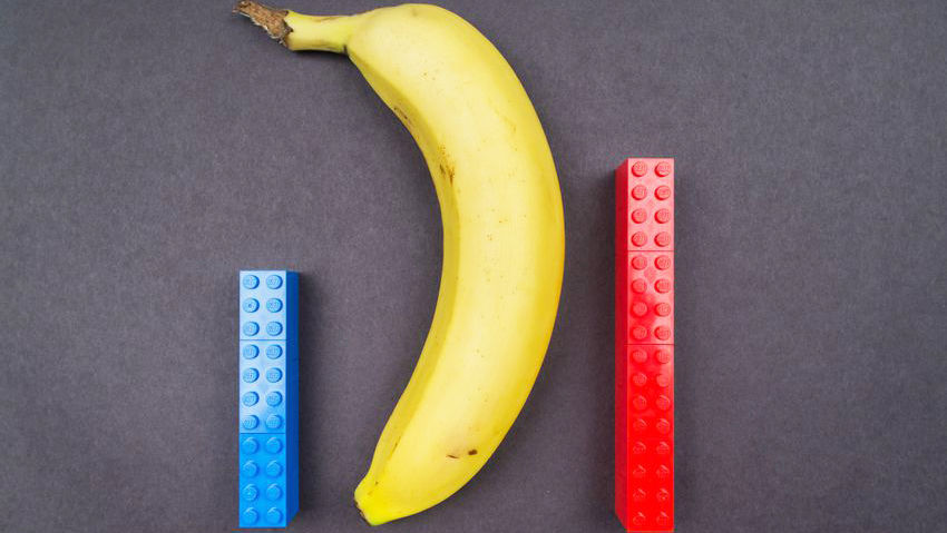 Here's how it compares the size of an average penis with familiar ones...