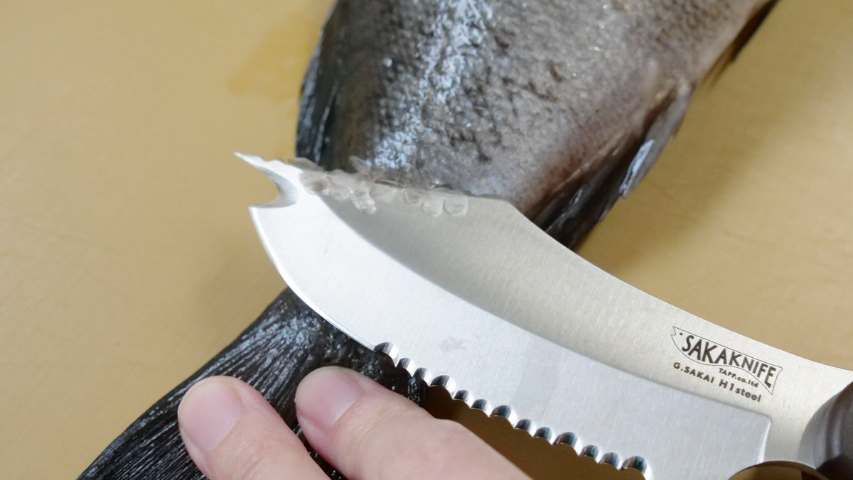 これ一本でどんな魚でも簡単に捌けちゃう魔法のナイフ サカナイフ Sakaknife を実際に使ってみた Gigazine