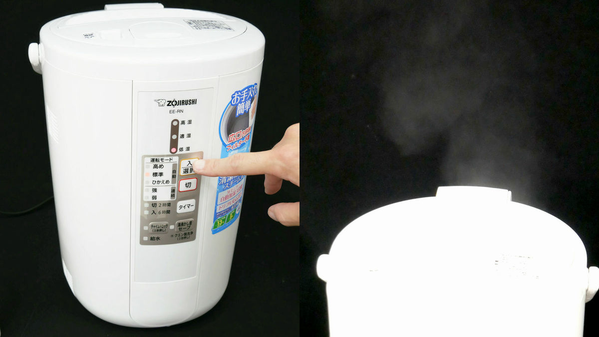 Humidifier 'Elephant steam type humidifier EE-RN50' which is 