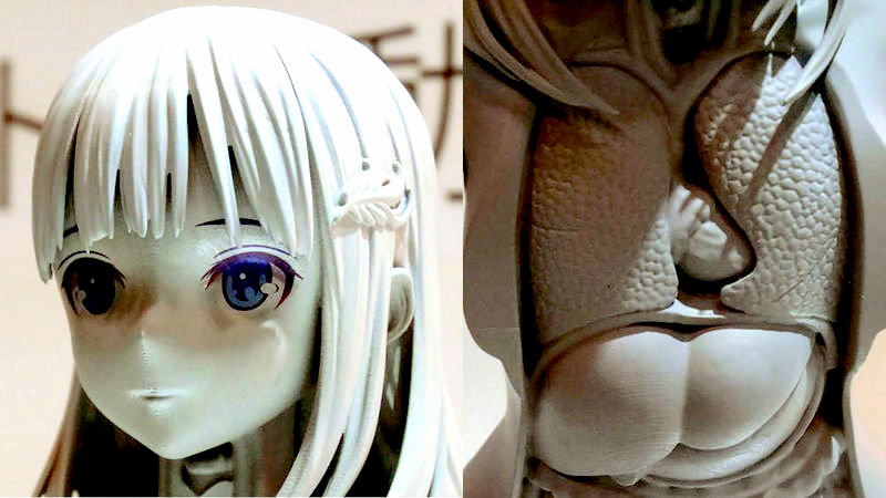 アニメ調の美女で製作された「人体模型」ワンダーフェスティバルで発見 - ライブドアニュース