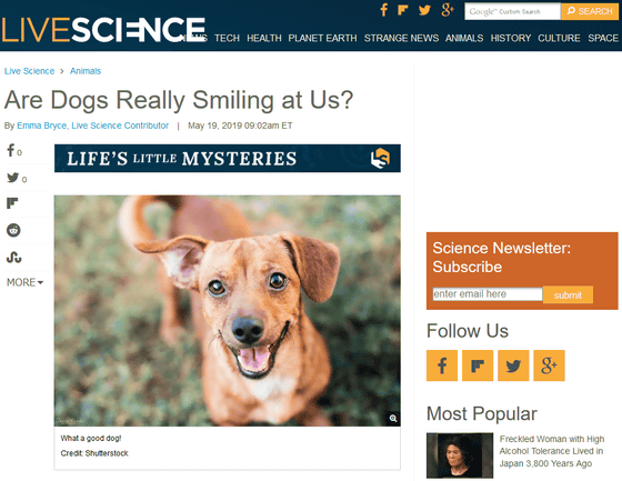 smile dog email