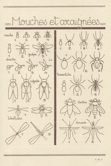 新しいコレクション 蜘蛛の巣 イラスト 書き方 最高の壁紙のアイデアcahd