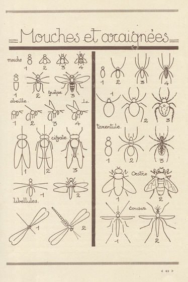 1930年に出版された動物の描き方を指南した解説書がすごくわかりやすい Gigazine