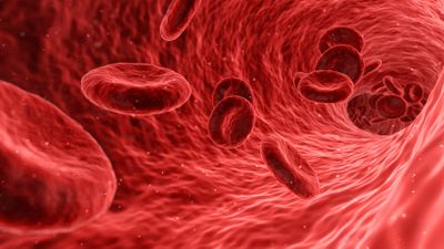A型の血液をo型に変え誰にでも輸血可能にする酵素が人間の腸内から発見される Gigazine