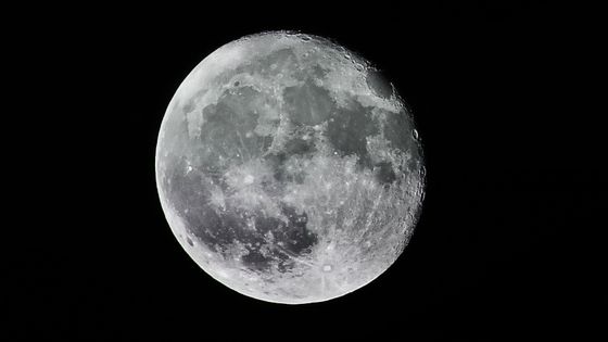 月面に墜落した月探査機に数千匹のクマムシが乗っていたことが発覚 月面で繁殖する可能性も Gigazine