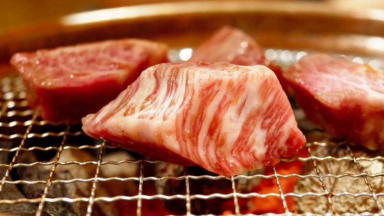 年間収益5兆円を超える世界最大級の食肉メーカーを取り巻く 黒い疑惑 とは Gigazine