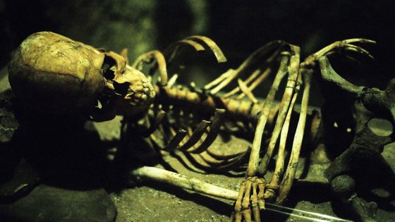 人間の死体は死後1年以上にわたって動き続けることが判明 Gigazine
