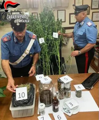 新たな味を追い求め 大麻入り料理 を開発していたシェフが逮捕 Gigazine