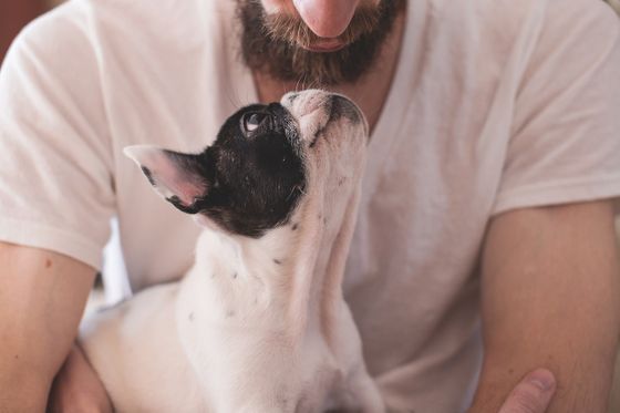 犬を飼い始めると飼い主の孤独感が解消されることが研究で確かめられる Gigazine