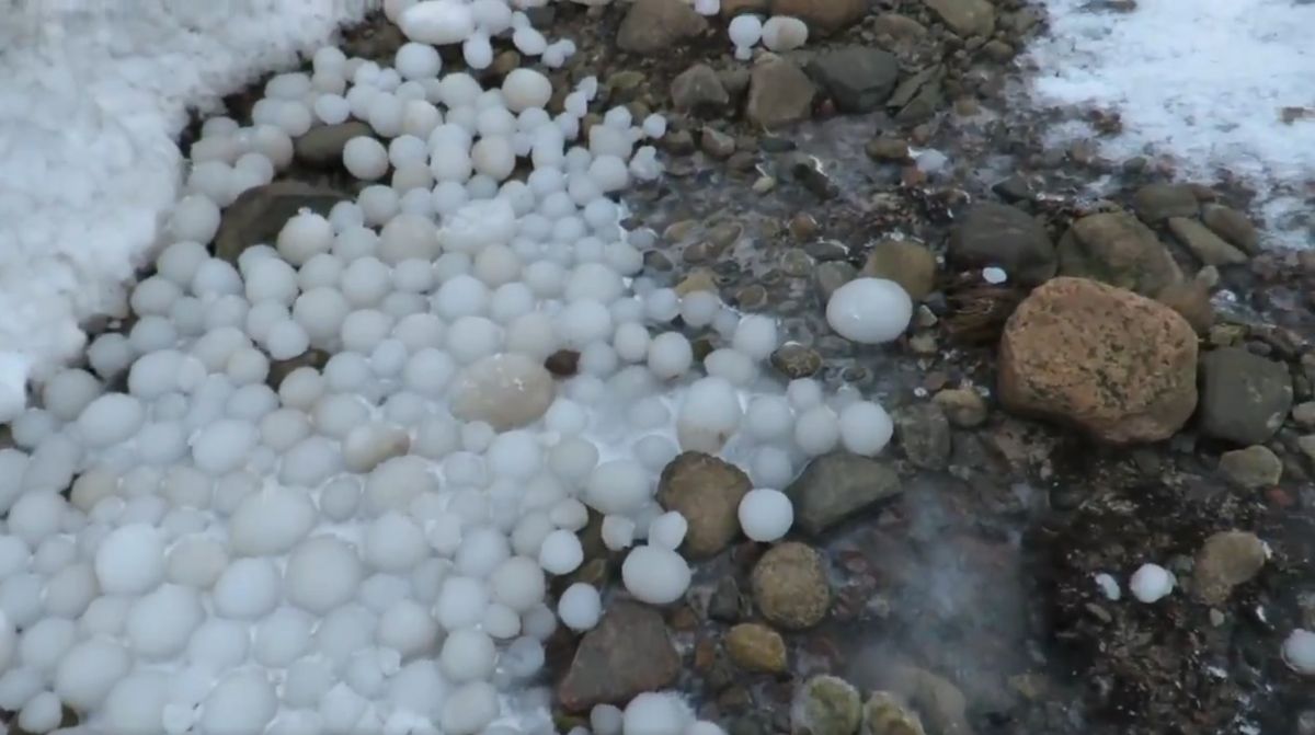 大量の 氷の卵 が海岸に打ち上げられた理由とは Gigazine