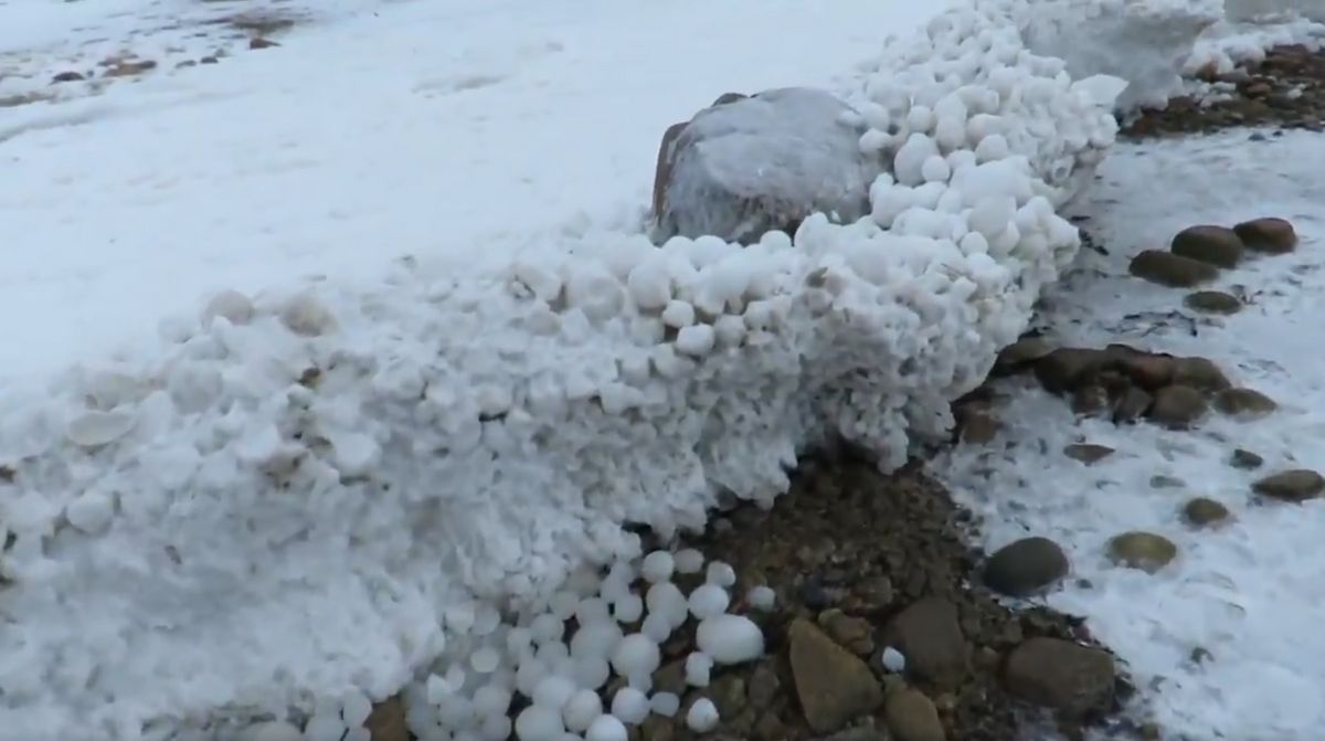 大量の 氷の卵 が海岸に打ち上げられた理由とは Gigazine