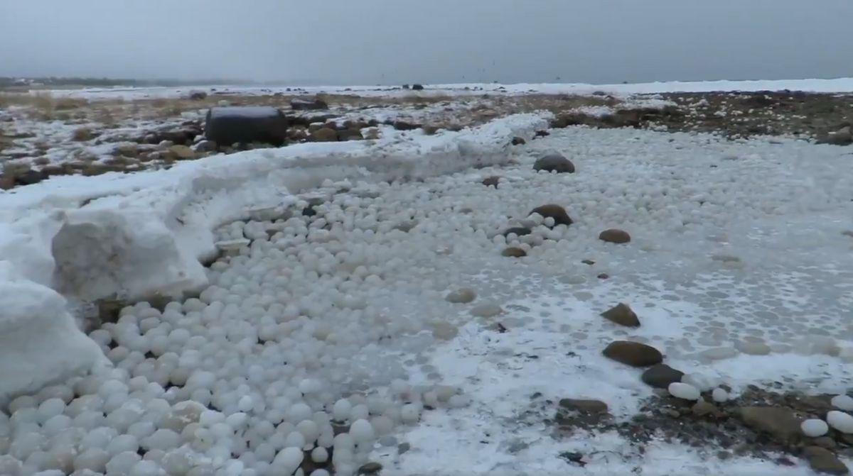 大量の 氷の卵 が海岸に打ち上げられた理由とは Gigazine