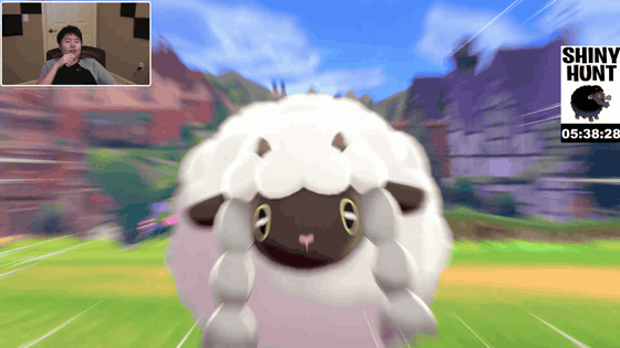 How to find square Shinies in Pokémon Sword and Shield - Polygon