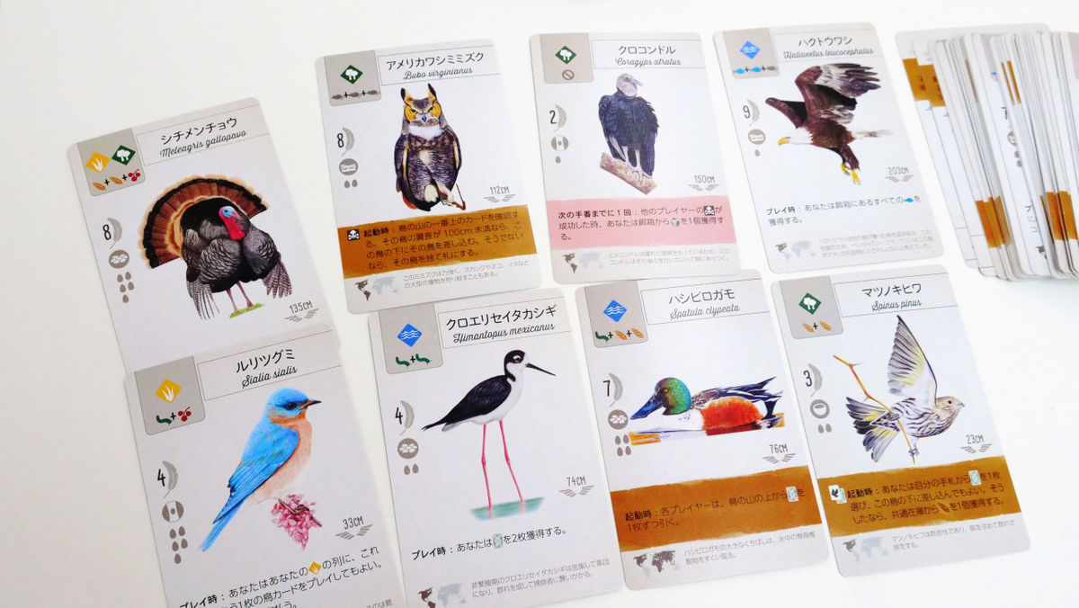 美しい野鳥をいざなって「鳥のパラダイス」を作り上げるボードゲーム 