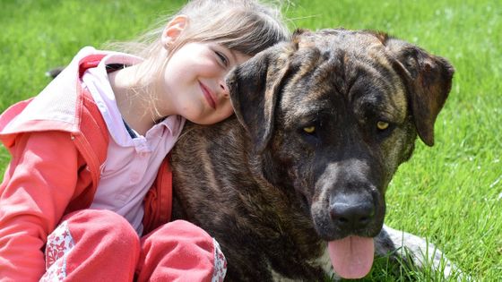 幼少期に犬を飼っていた人は統合失調症のリスクが最大55 も少なかったという調査結果 Gigazine