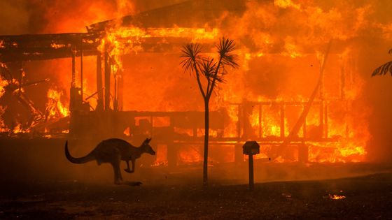 数カ月にわたりオーストラリアで続く山火事の凄まじい被害の記録 なぜこれほどまでに壊滅的な被害をもたらしているのか Gigazine