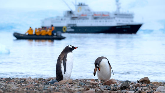 南極で観測史上初めて最高気温が20℃を突破