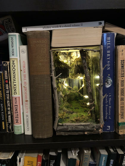 These Book Nooks Bring Regular Bookshelves to Life - Nerdist