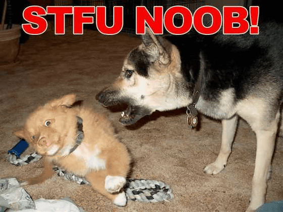 30 English Internet Slang Terms for Online Noobs