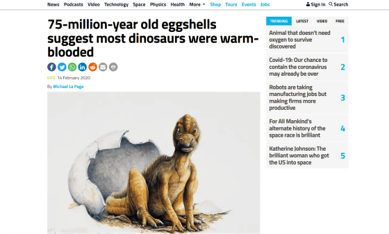恐竜には 温かい血 が流れていた可能性が卵の化石から示唆される Gigazine