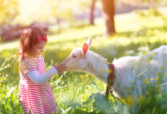 Children who can feel connection nature turned out to be `` only happy themselves but also friendly to others '' - GIGAZINE