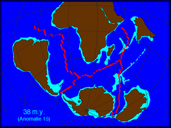 恐竜と同じ7000万年前を生きた新種の哺乳類 狂気の獣 とは Kanayomi đọc Bao Thả Ga Khong Lo Từ Mới