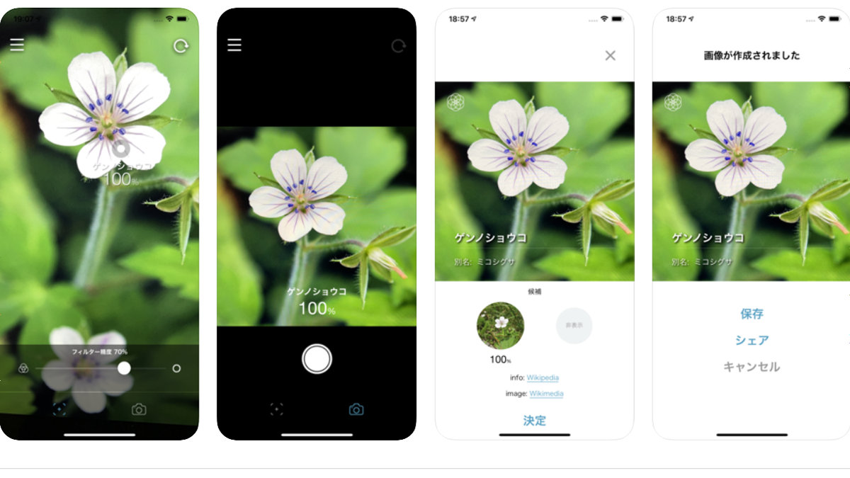 無料でカメラを向けた花の名前を即座にAIが教えてくれるアプリ「ハナノナ」を使ってみた - GIGAZINE