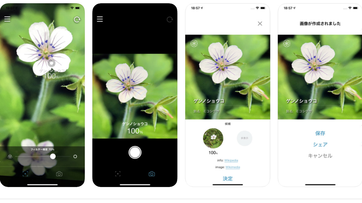 無料でカメラを向けた花の名前を即座にaiが教えてくれるアプリ ハナノナ を使ってみた Gigazine