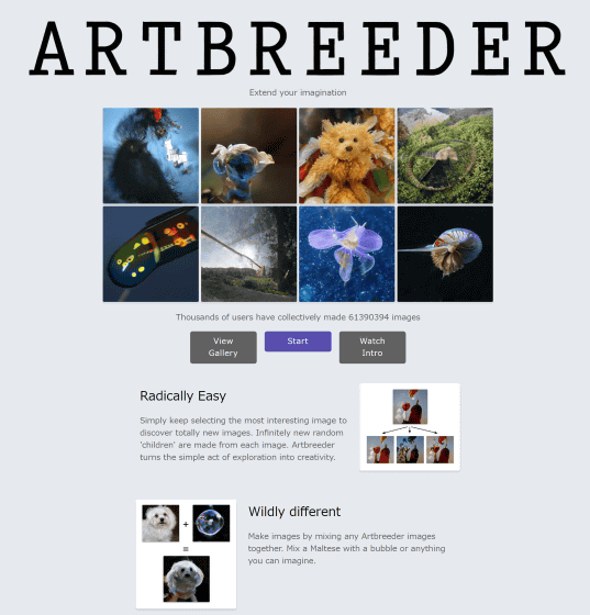 Artbreeder как загрузить свое фото